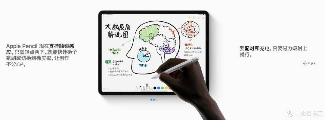 新一代iPad Pro+Apple Pencil 是奢侈品还是生产力工具?附书写绘画测试