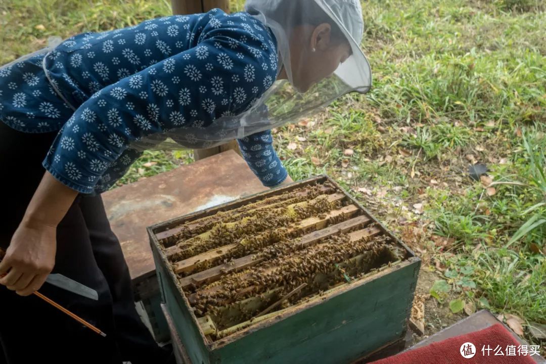 抓住蟹季的小尾巴，现在去阳澄湖吃大闸蟹性价比老高了