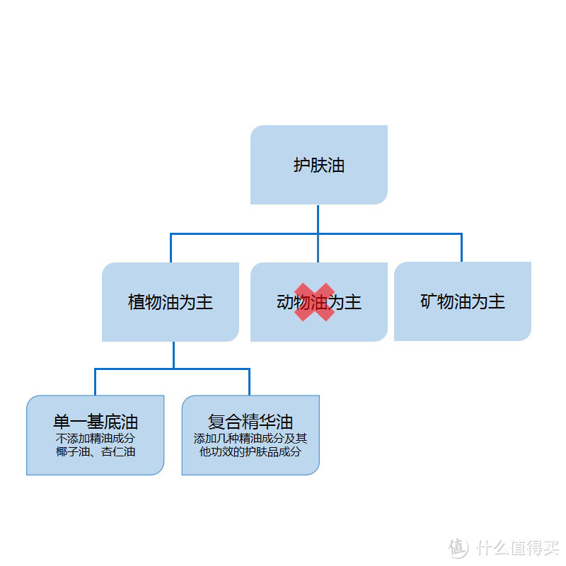 干皮星人加“油”季到了！你准备好了吗？