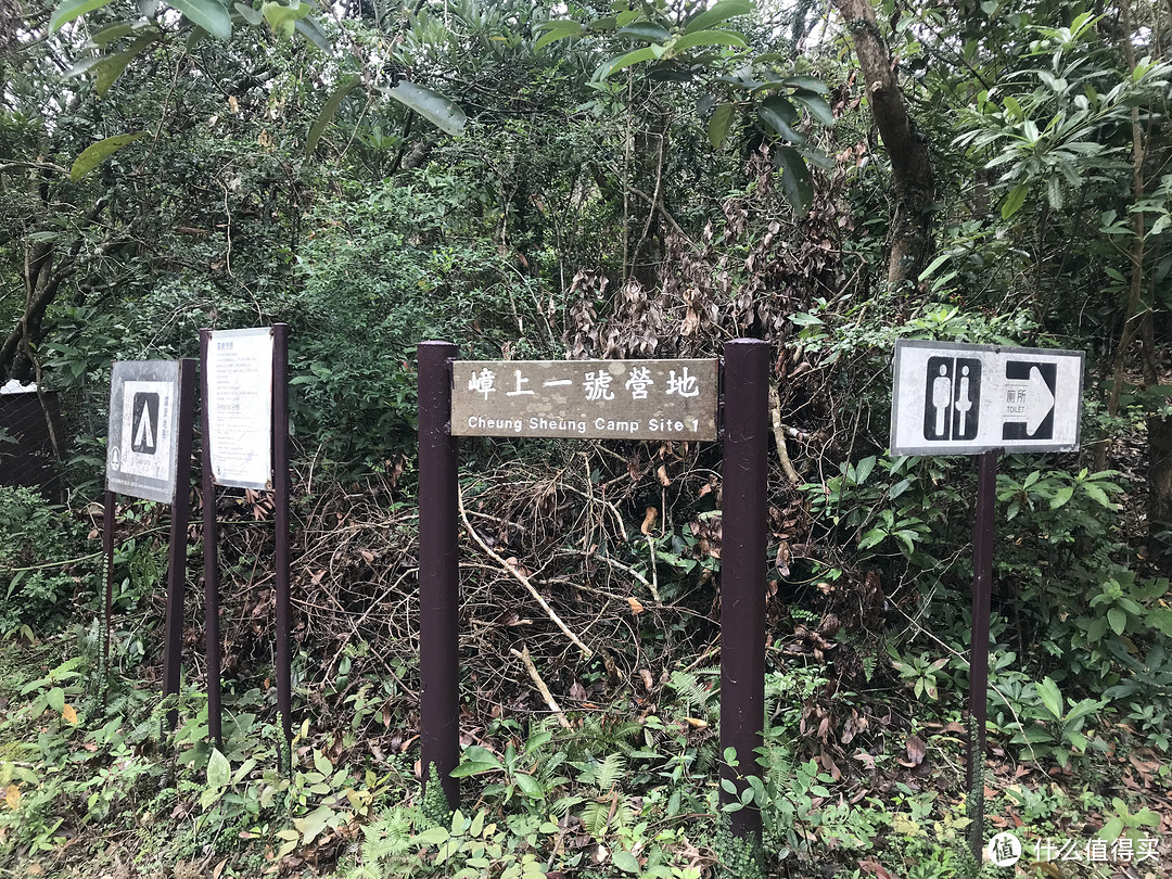 香港徒步—麦理浩径三四段之虐山行