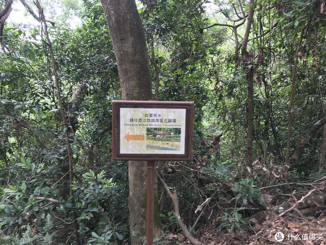 香港徒步—麦理浩径三四段之虐山行