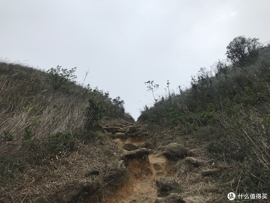 香港徒步—麦理浩径三四段之虐山行