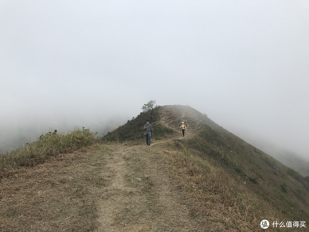 香港徒步—麦理浩径三四段之虐山行