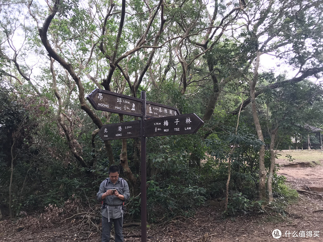 香港徒步—麦理浩径三四段之虐山行