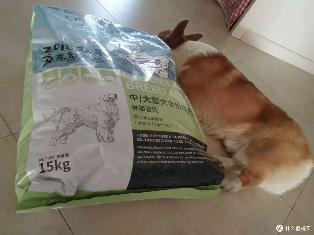 15kg的黑山羊&蔓越莓
