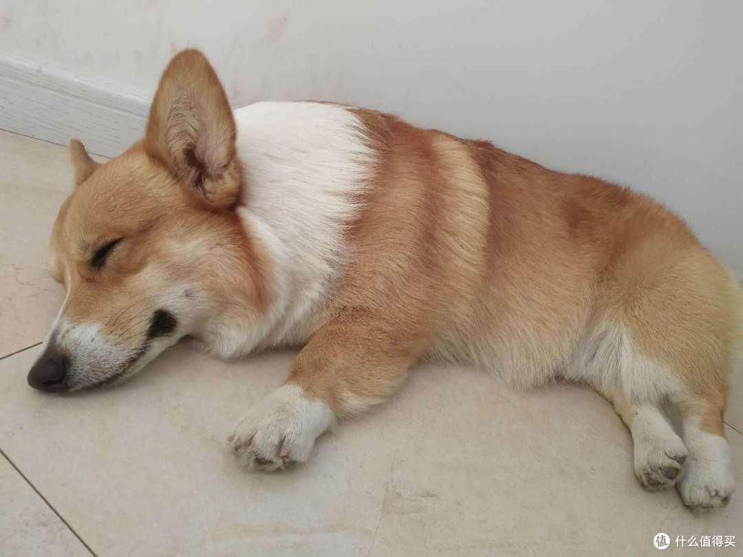 睡一会