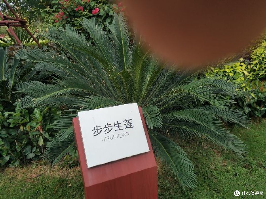 博鳌国际医疗区和保税药品，了解下