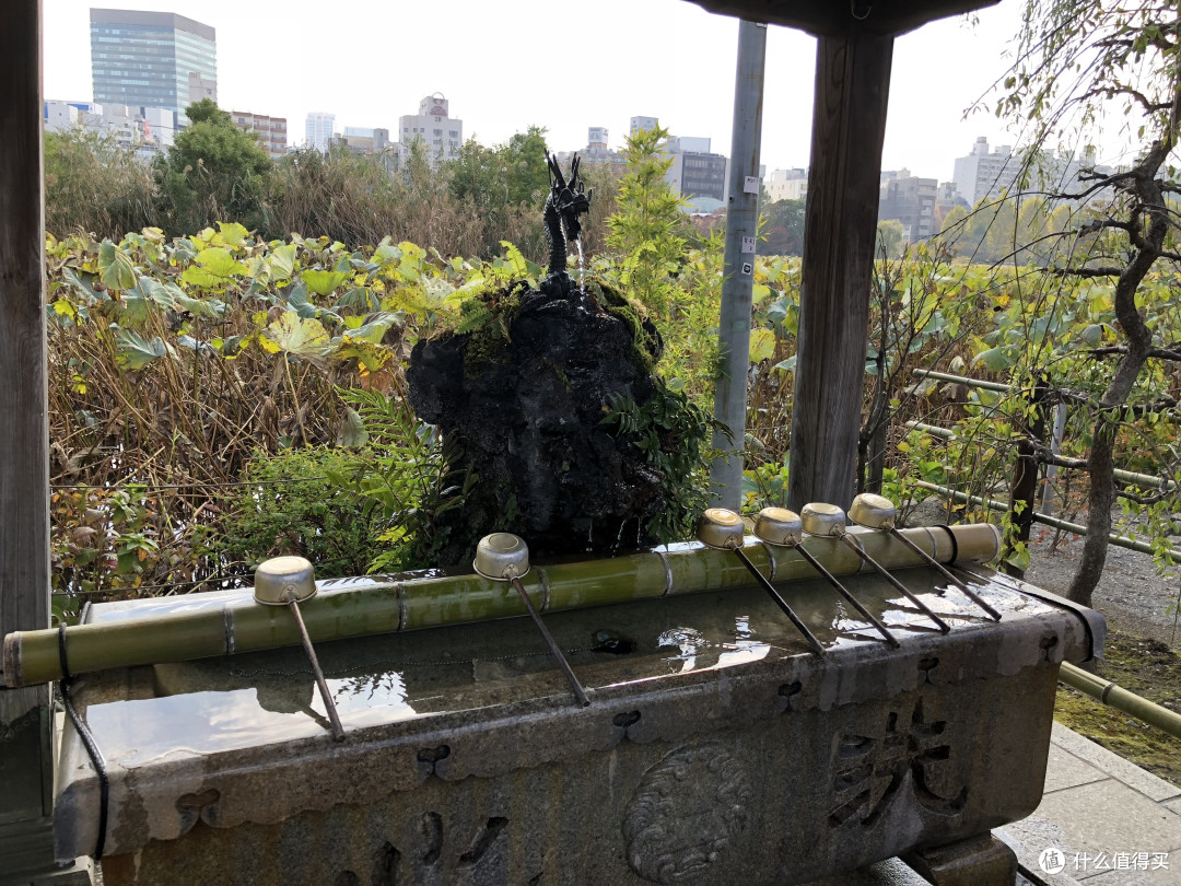 没有什么不可以,路盲照样逛东京:记录一下东京4天3夜之流水账