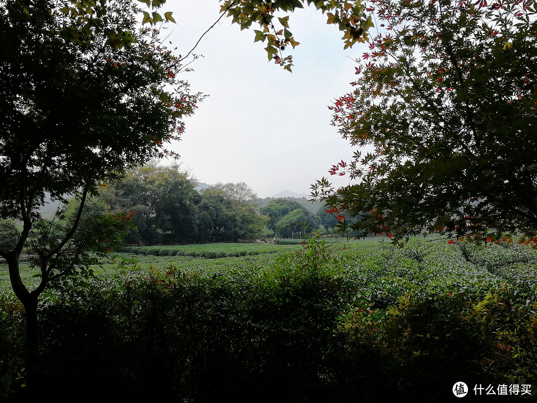 跑过风景跑过你—2018.11.4杭州马拉松