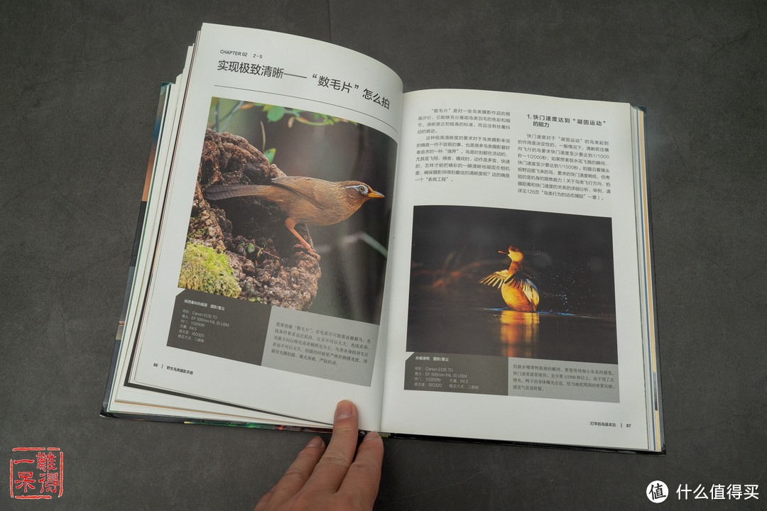 了解世界：双十一买的《中国国家地理》和观鸟拍鸟的书
