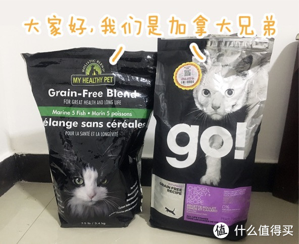 HolisticBlend活力枫叶·黑金系列深海鲜鱼猫粮和go猫粮对比评测