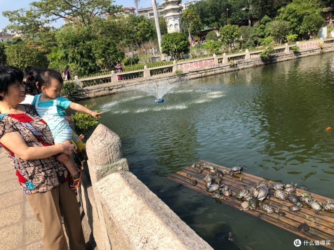 去南普陀寺看乌龟晒太阳