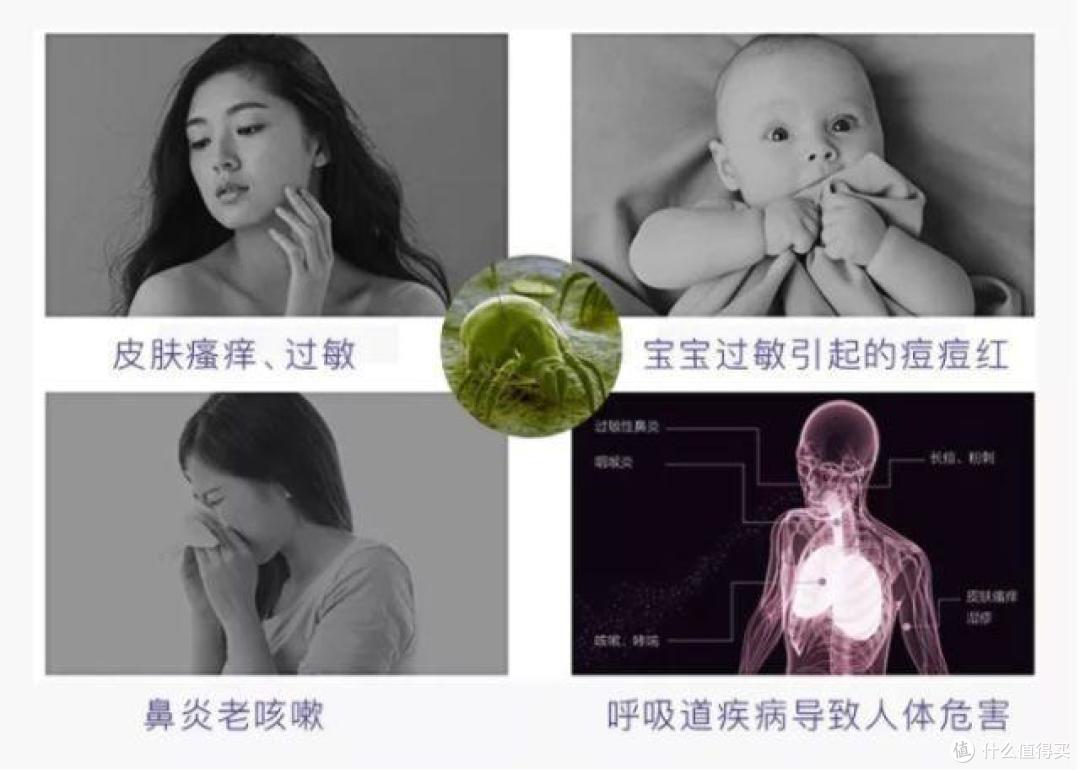 3月不晒被,600万螨虫陪你入睡!你不害怕吗?