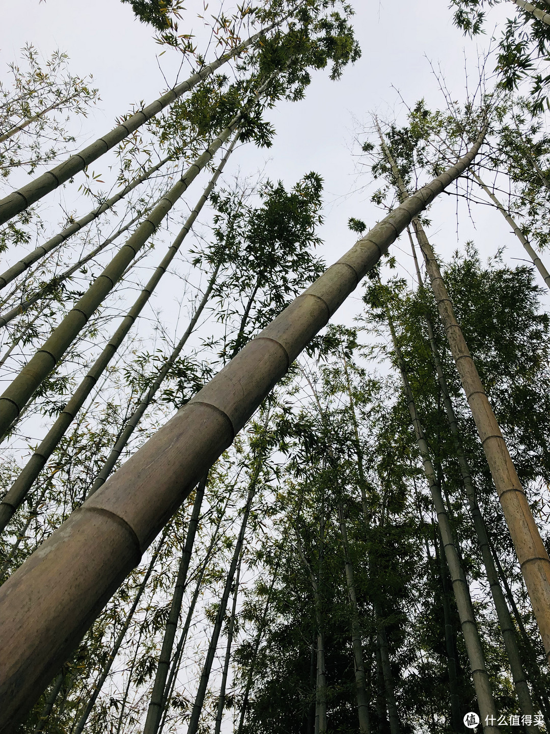 见识天府新区的壕