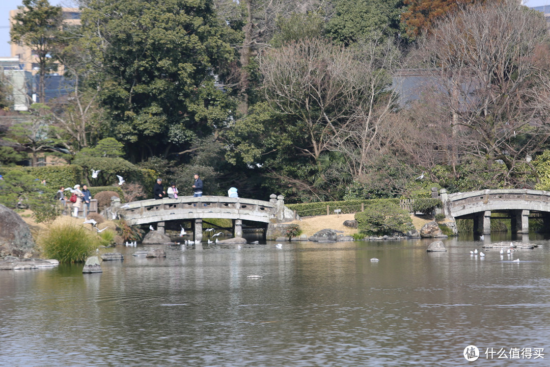 熊本市（熊本城）