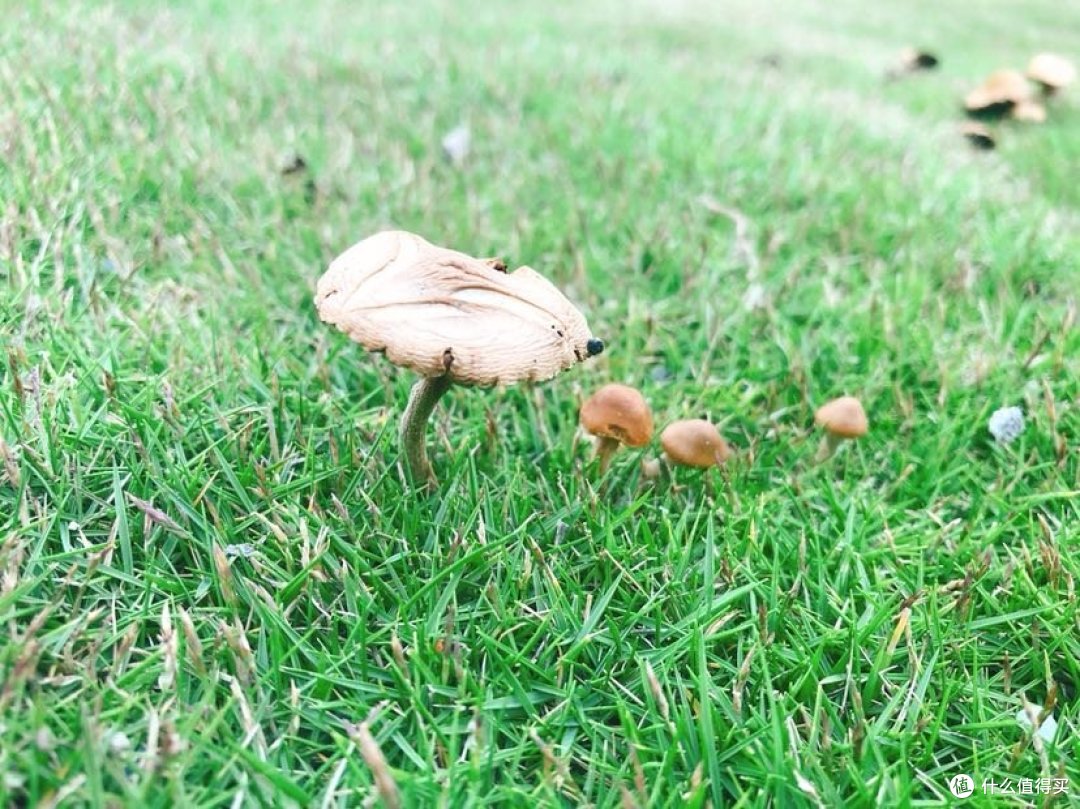 在太平洋的小海岛上走一走