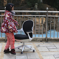 黑白调 HDNY145 蛋壳电脑椅使用感受(模式|弹性|坐姿|搬运)