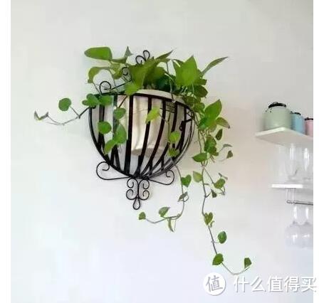 打造阳台花园的几个小妙招,喜欢的可以收藏了!