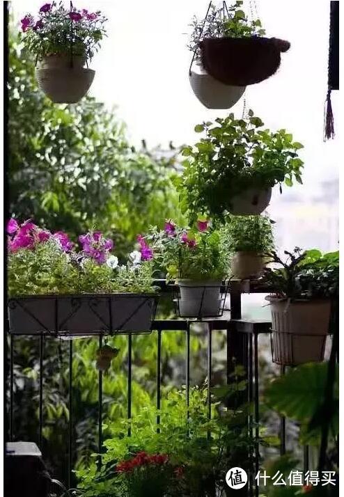 打造阳台花园的几个小妙招，喜欢的可以收藏了！