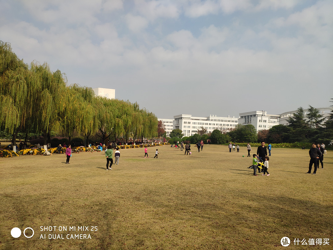 比公园更美的校园—上海大学宝山校区菊花节