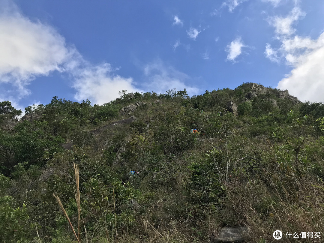 香港徒步—落日脊上飞鹅山遐想、麦理浩径登狮子山展威