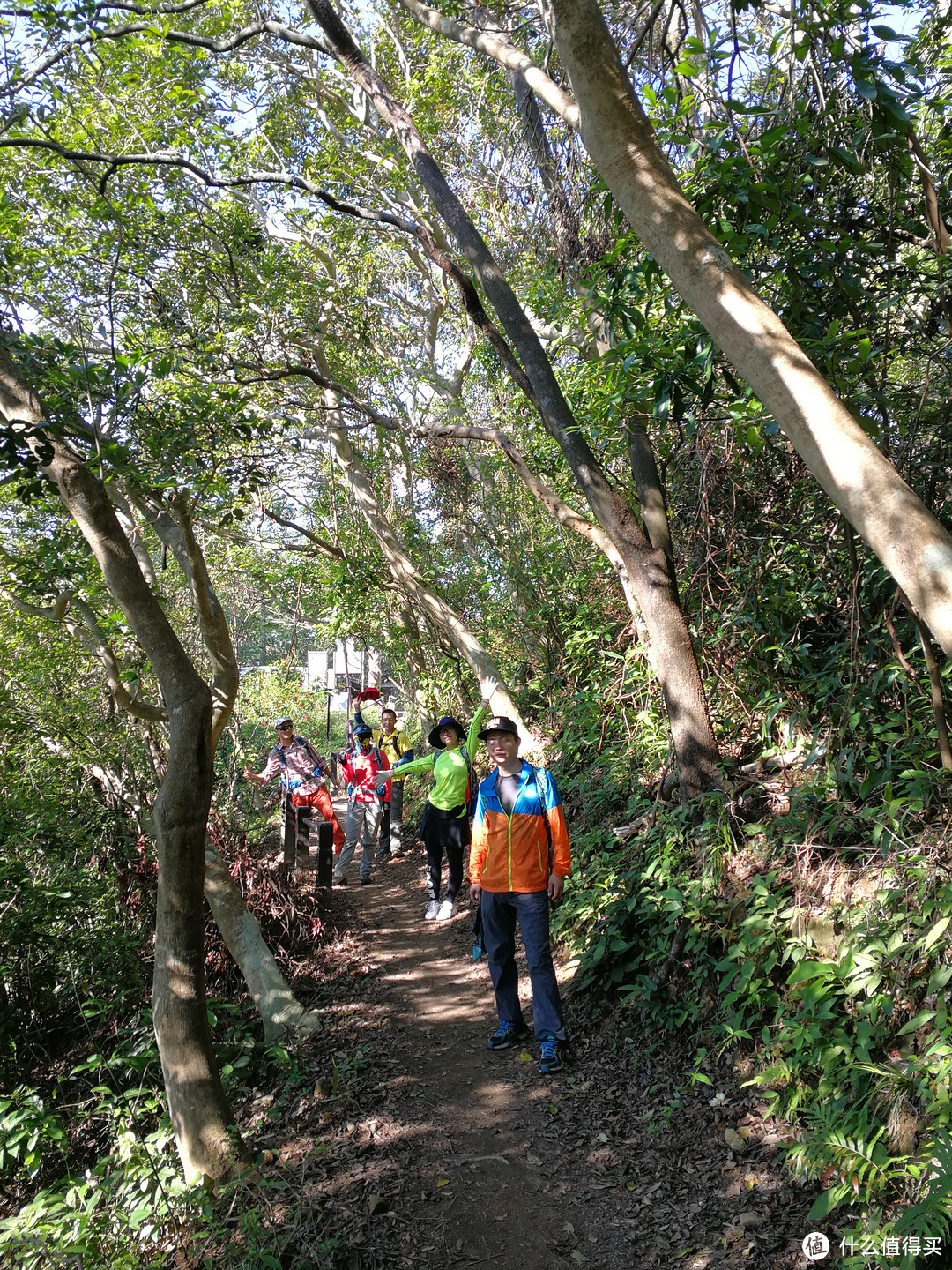 香港徒步—落日脊上飞鹅山遐想、麦理浩径登狮子山展威