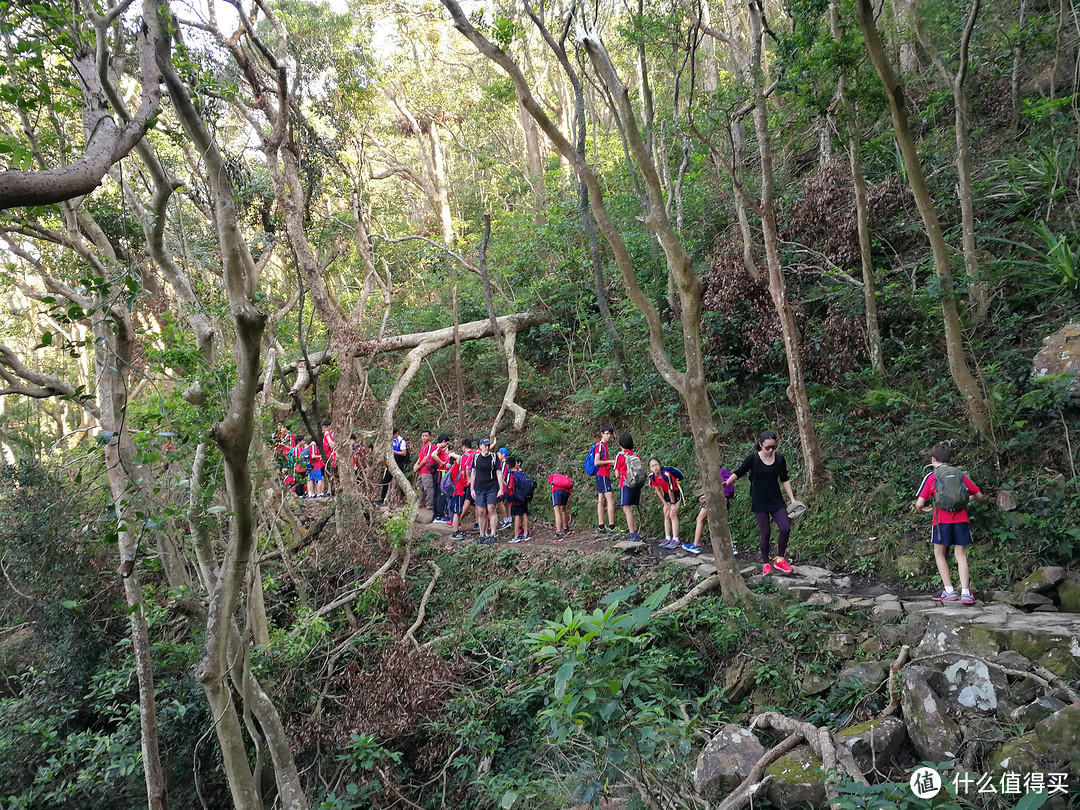 香港徒步—落日脊上飞鹅山遐想、麦理浩径登狮子山展威