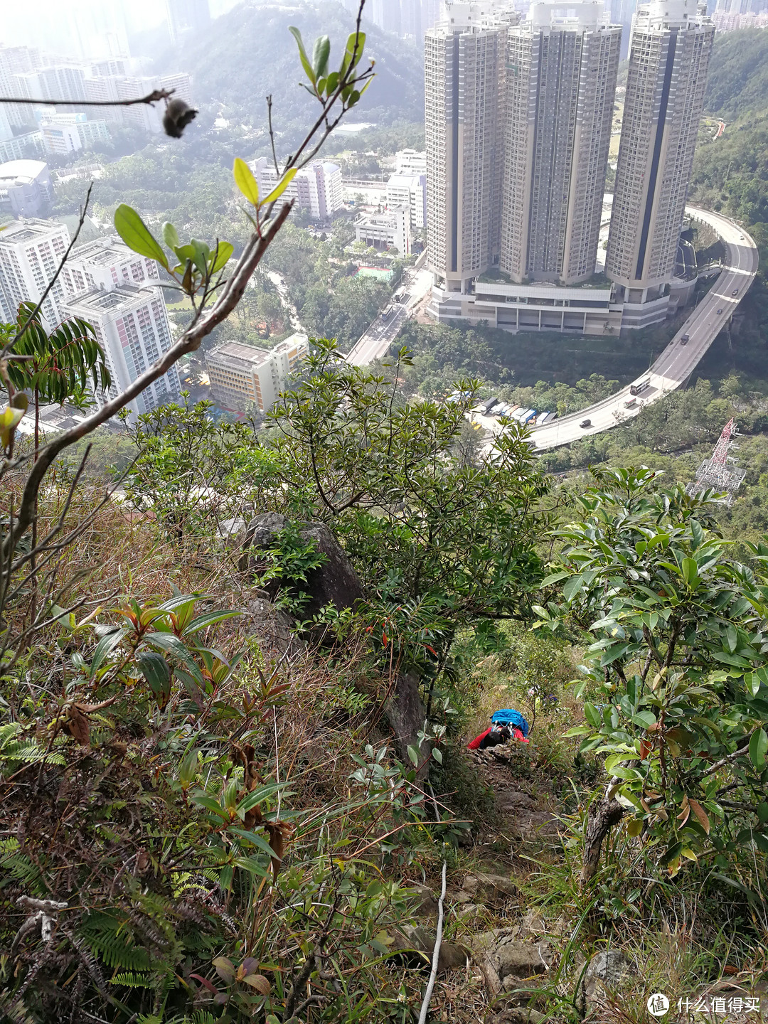 香港徒步—落日脊上飞鹅山遐想、麦理浩径登狮子山展威