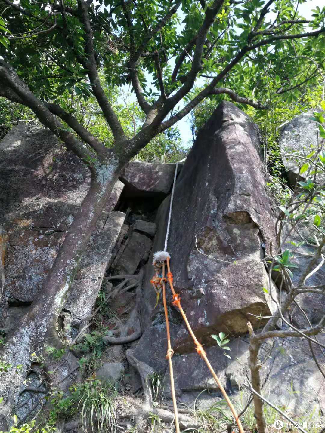 香港徒步—落日脊上飞鹅山遐想、麦理浩径登狮子山展威