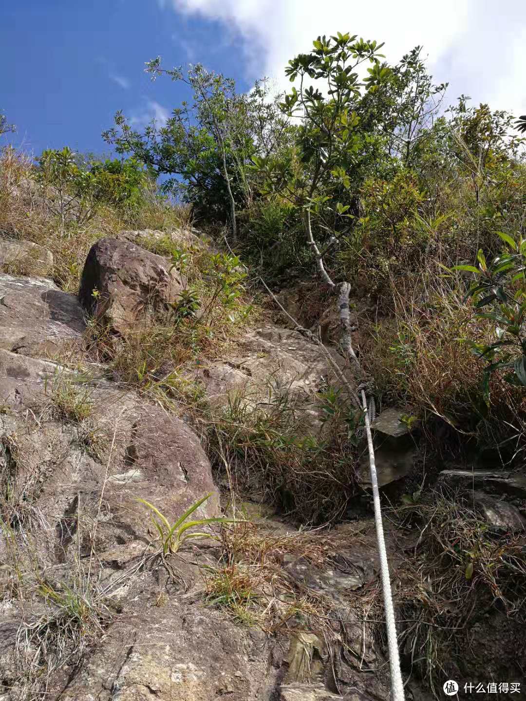 香港徒步—落日脊上飞鹅山遐想、麦理浩径登狮子山展威