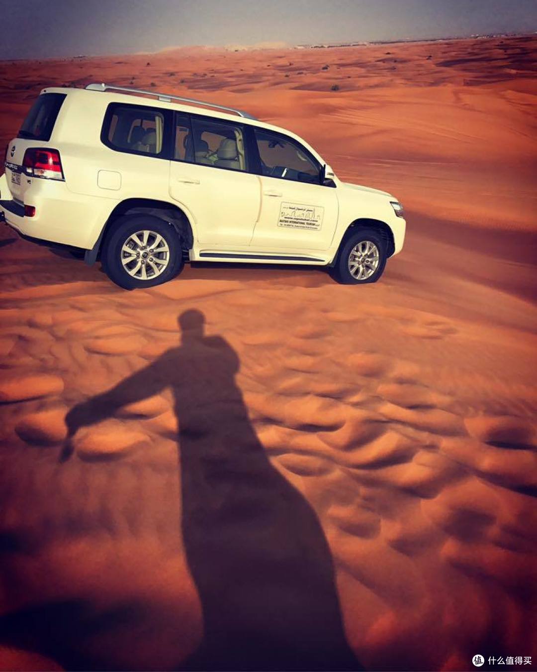 在迪拜喂骆驼才是正经事,还有全球最美的清真寺