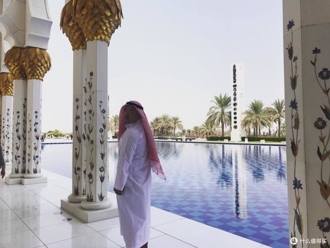 当地人怎么玩篇五在迪拜喂骆驼才是正经事还有全球最美的清真寺