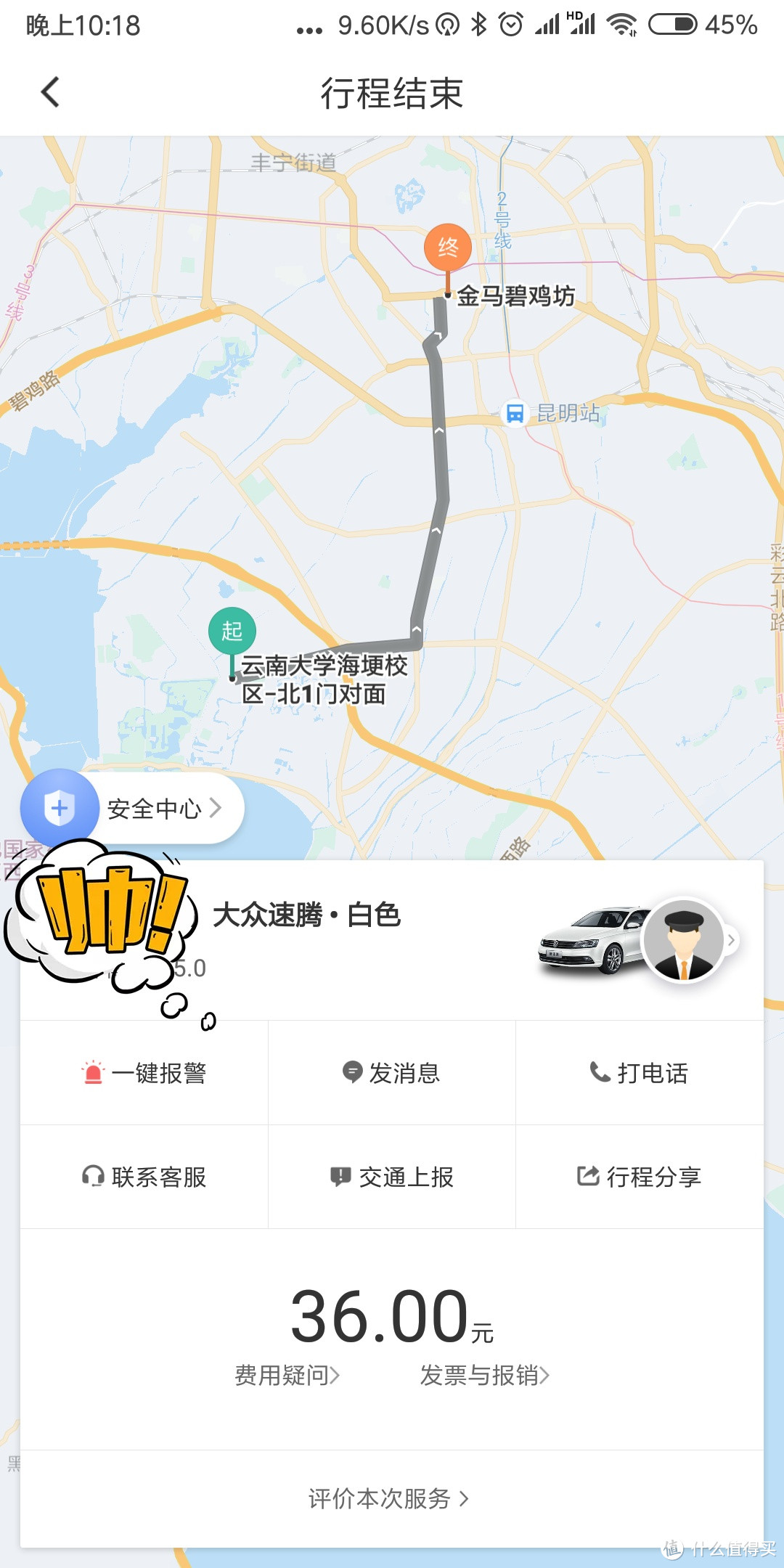 无聊了去昆明喂喂海鸥