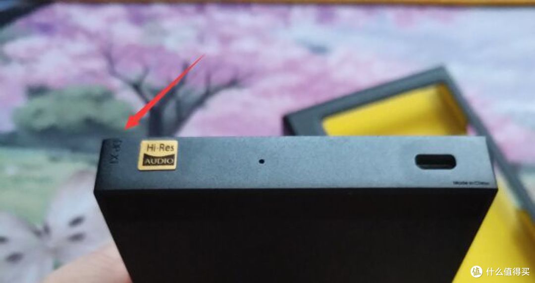 转了角度看到了DPx1