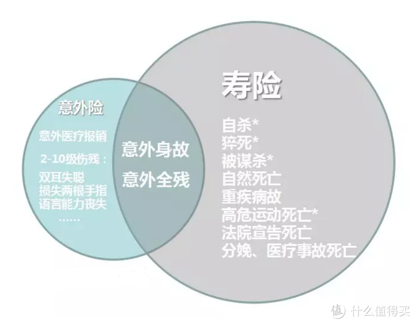 成年人的保险方案中没有定期寿险，你是个不合格的代理人