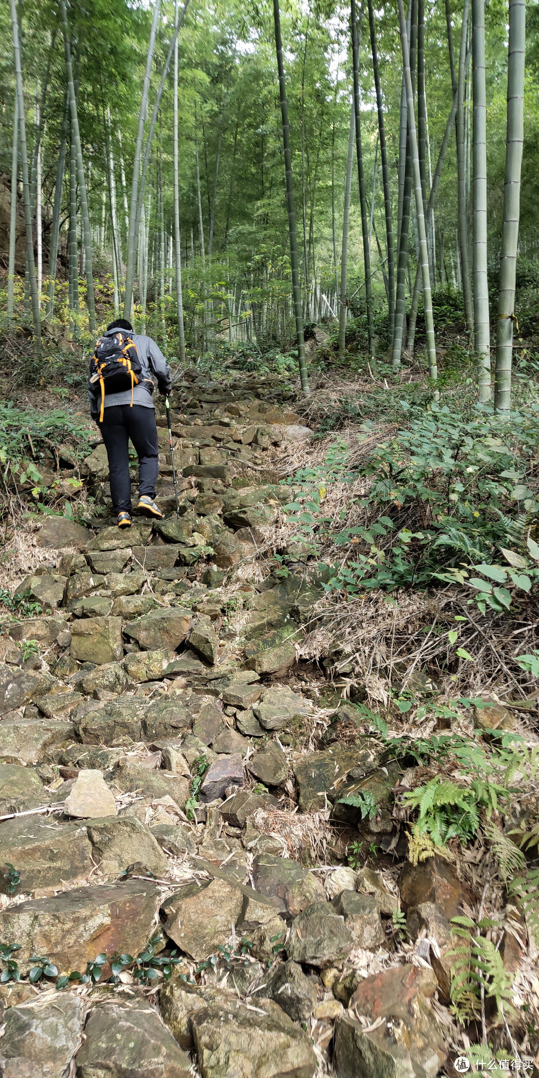 穿越宁波无人区，记五连坑环线徒步登山