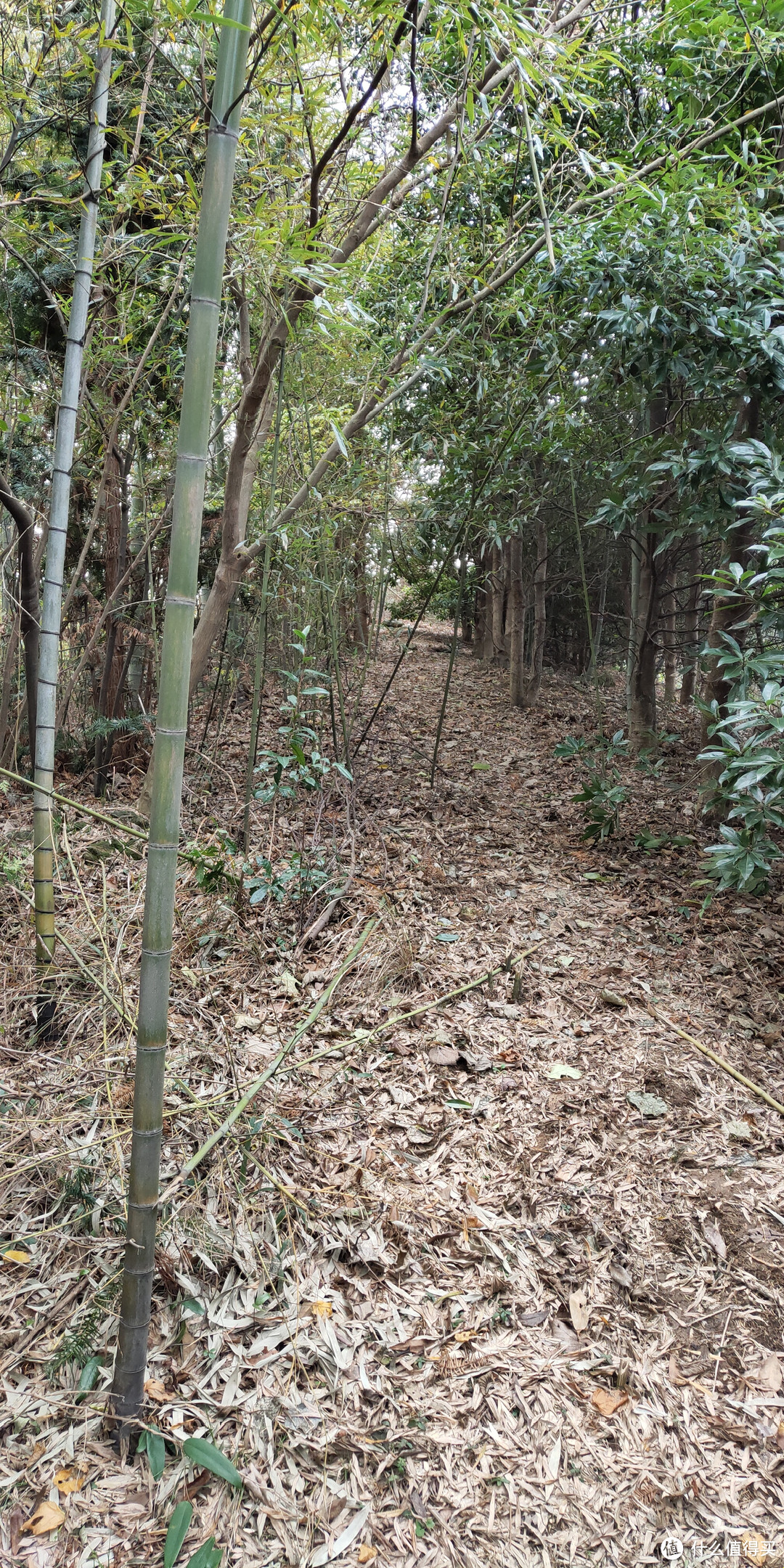 穿越宁波无人区，记五连坑环线徒步登山