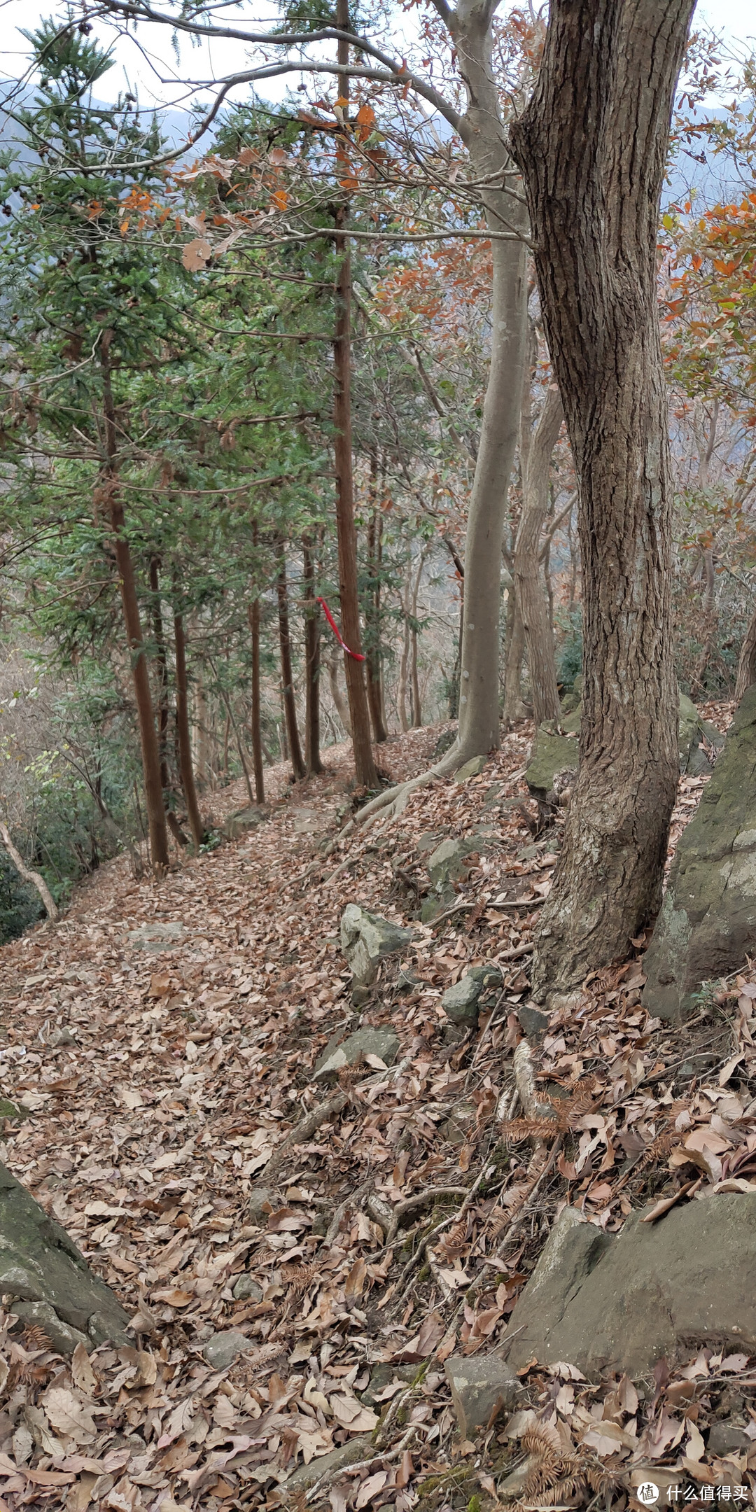 穿越宁波无人区，记五连坑环线徒步登山