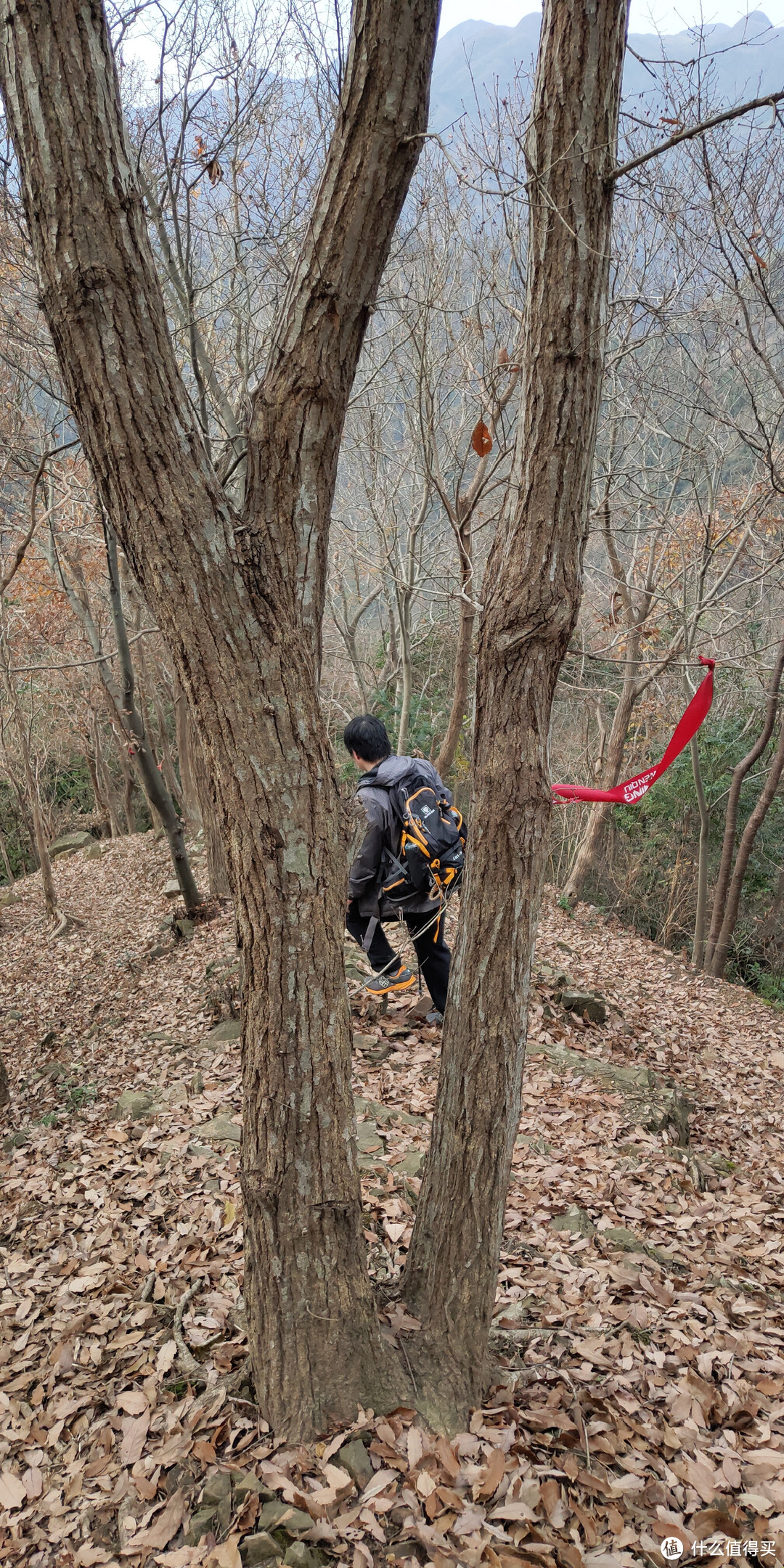 穿越宁波无人区，记五连坑环线徒步登山