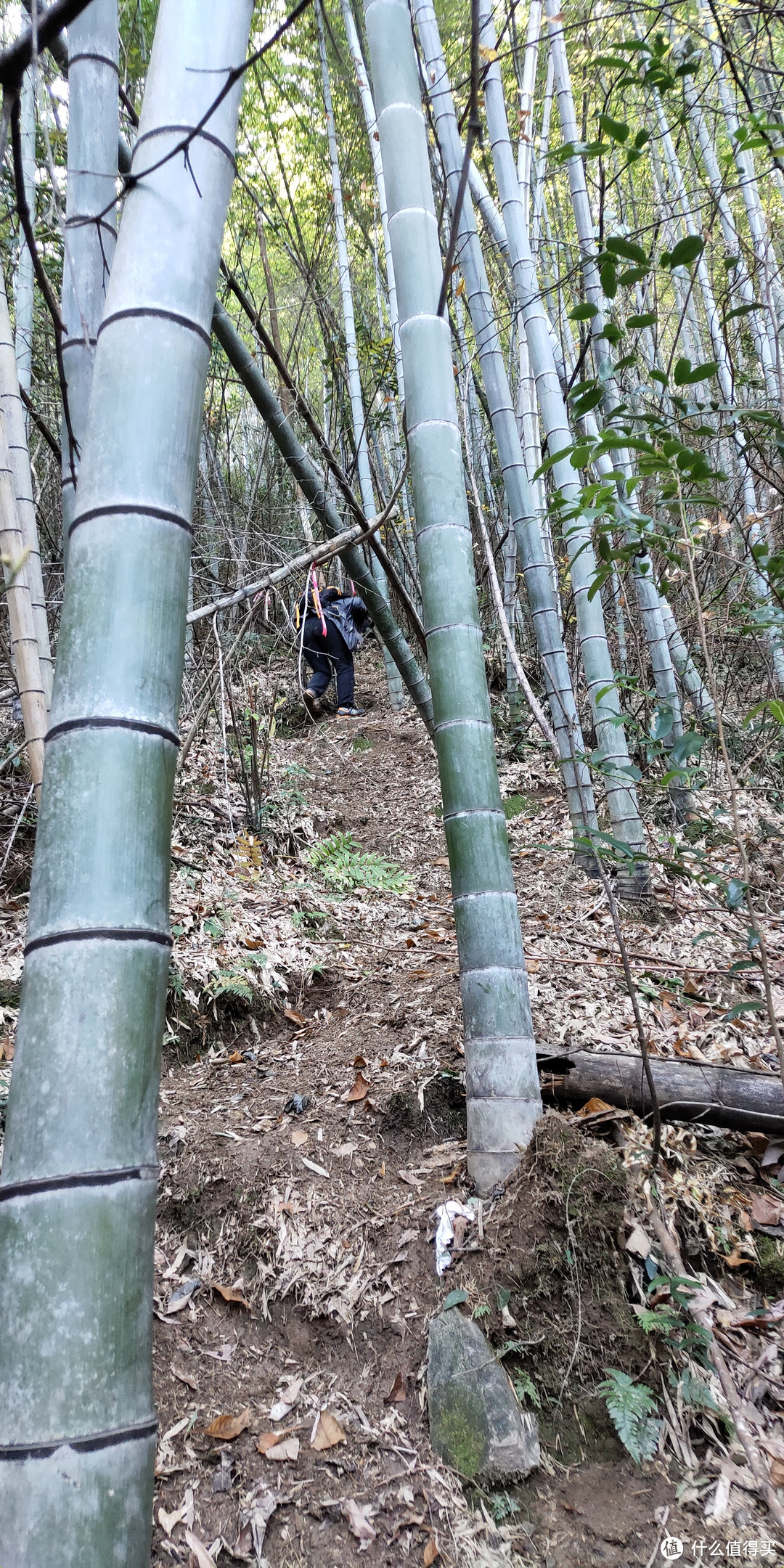 穿越宁波无人区，记五连坑环线徒步登山