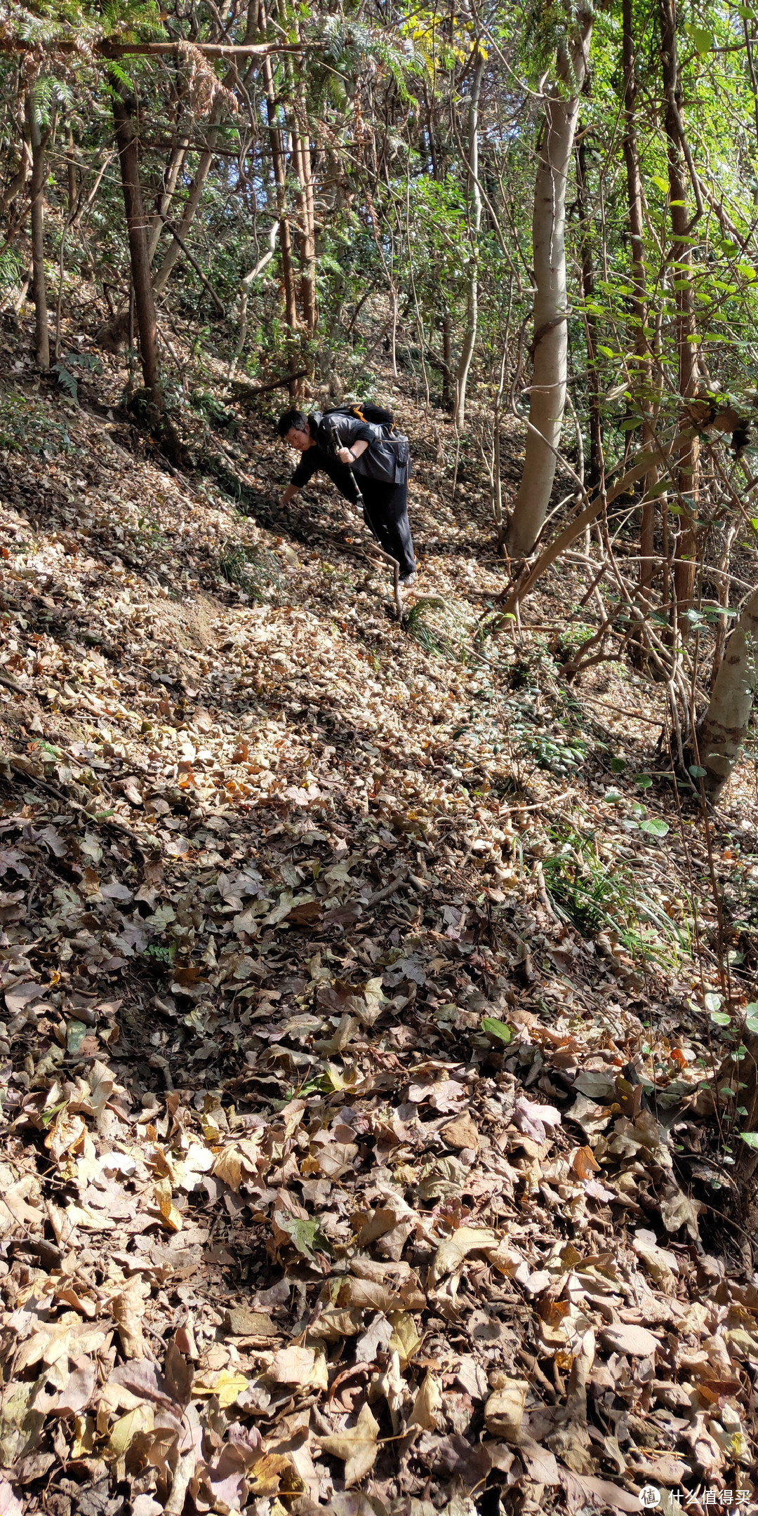 穿越宁波无人区，记五连坑环线徒步登山