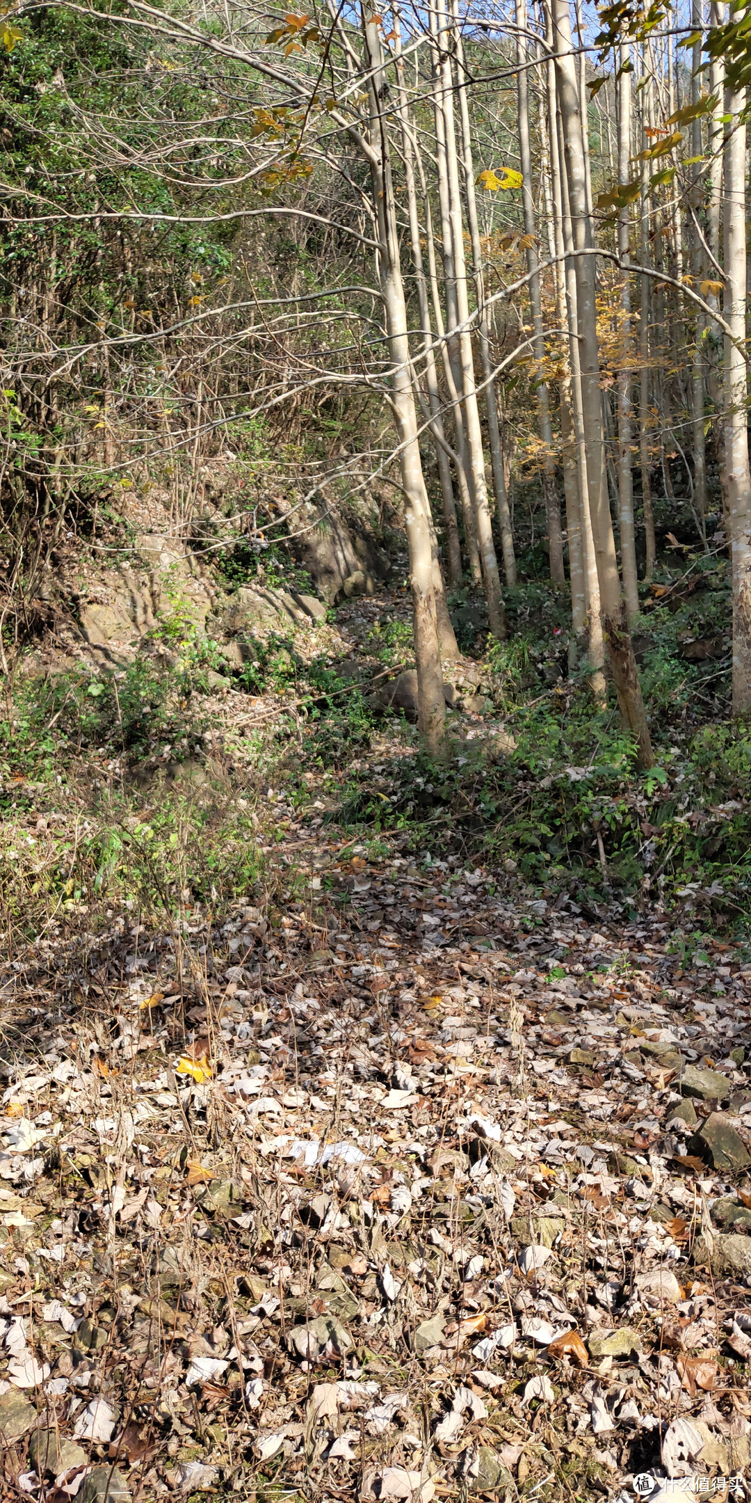 穿越宁波无人区，记五连坑环线徒步登山