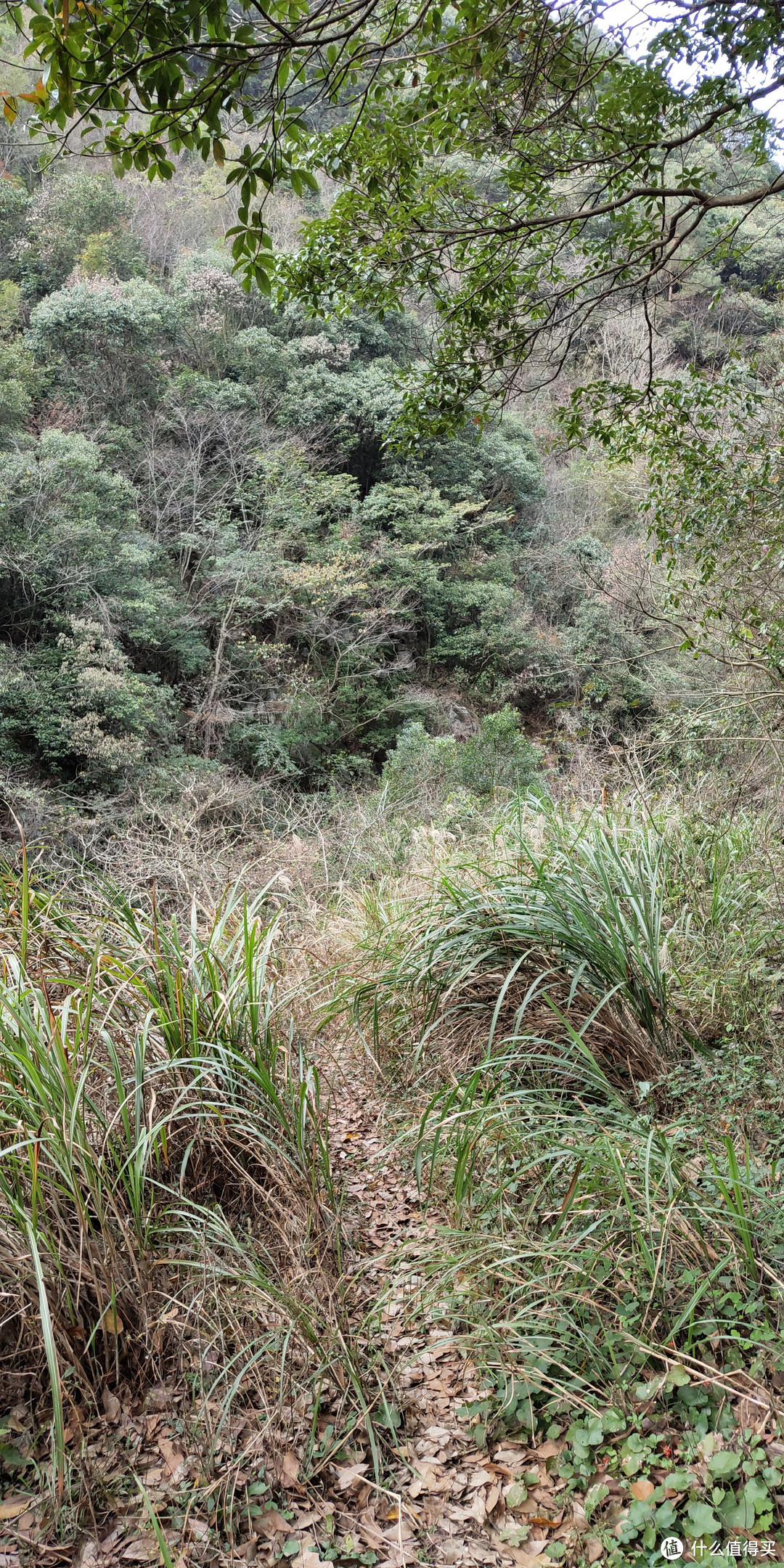 穿越宁波无人区，记五连坑环线徒步登山