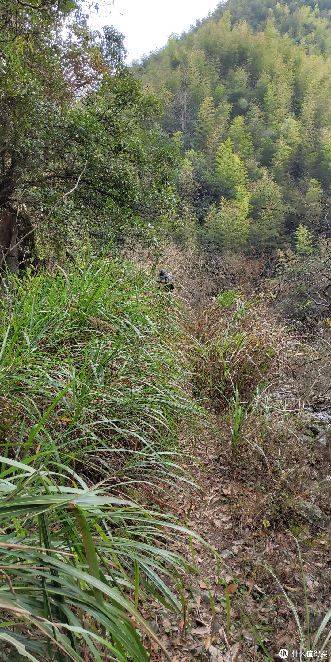 穿越宁波无人区，记五连坑环线徒步登山