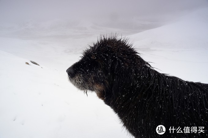 “蓄谋已久”的长途旅行：从东南亚丛林走到尼泊尔雪山：第二部分—滇藏线