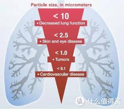 风扇？空净？傻傻分不清楚：Dyson 戴森 冷暖两用空气净化风扇HP00使用体验