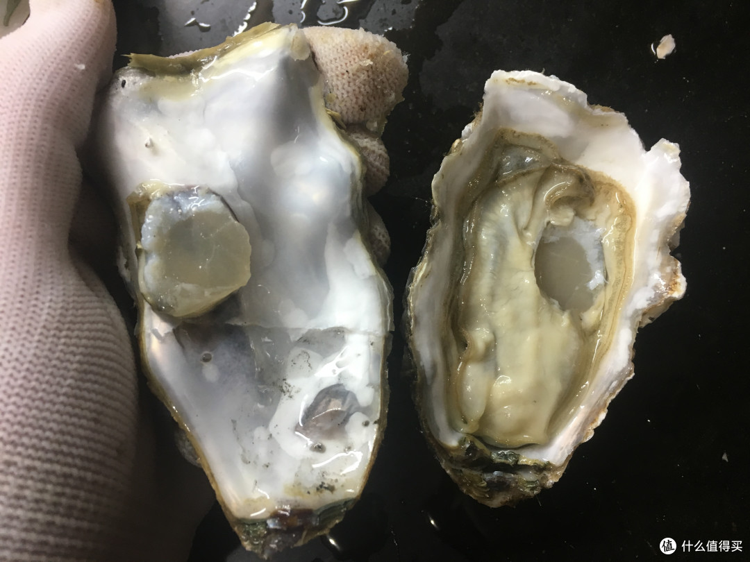 不及格作业