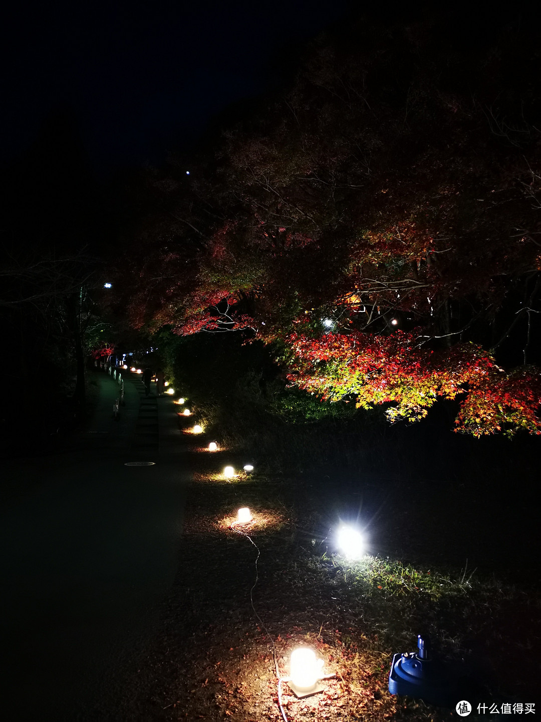 夜游一年只开二季的超级网红景点—京都琉璃光园攻略