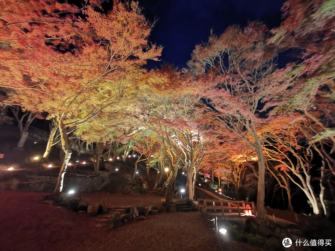 夜游一年只开二季的超级网红景点—京都琉璃光园攻略