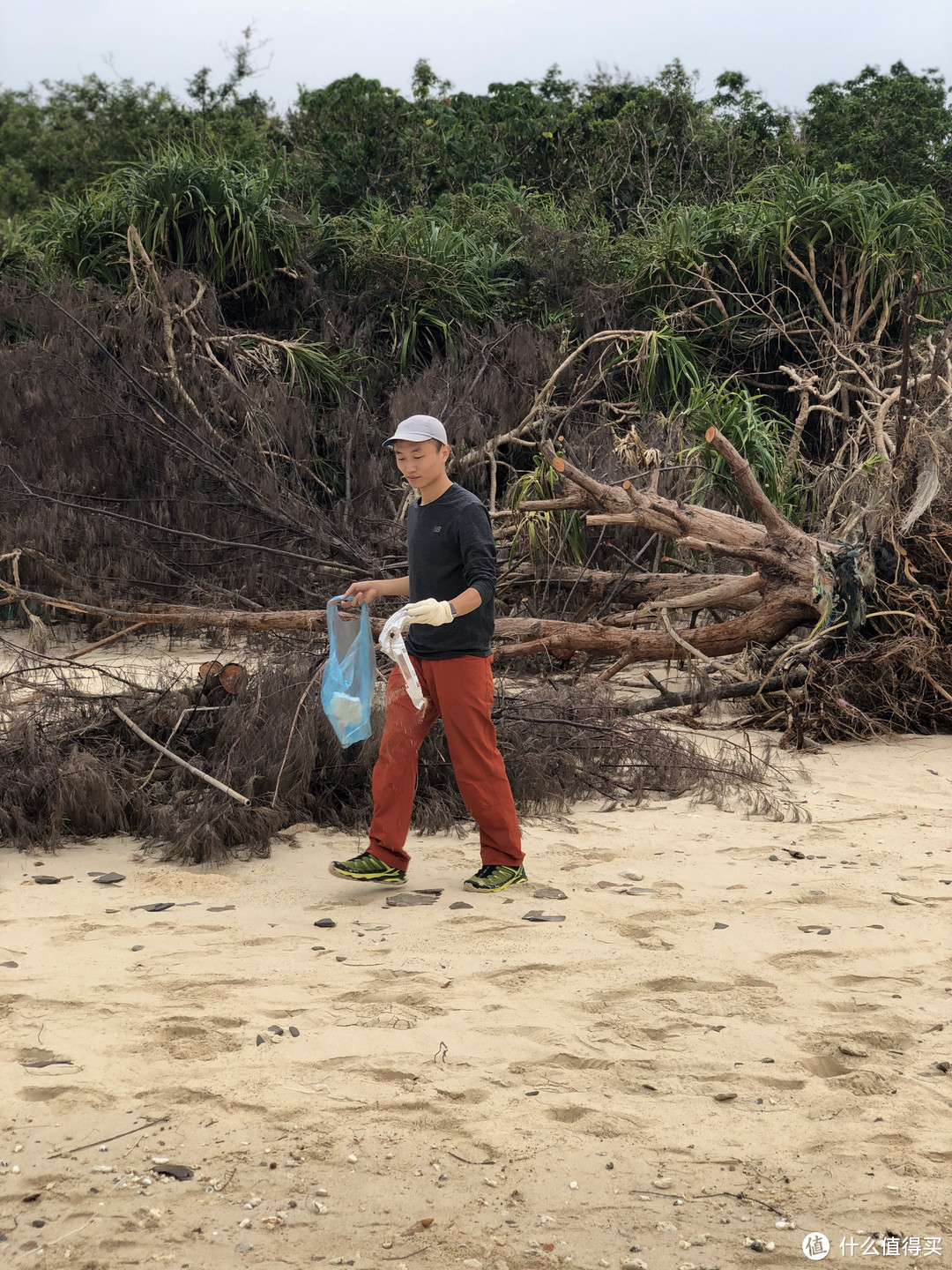 香港露营—我们在东平洲岛Plogging